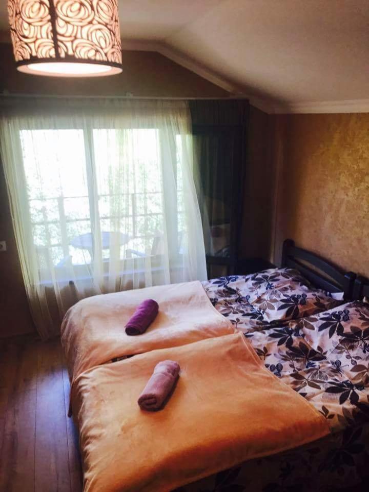 Metitsa Bed & Breakfast Juta Eksteriør bilde